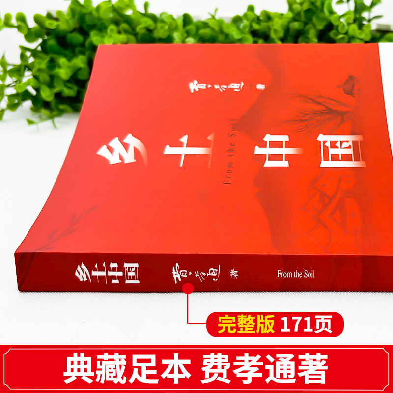 正版现货《乡土中国》：费孝通带你走进中国传统文化的深处