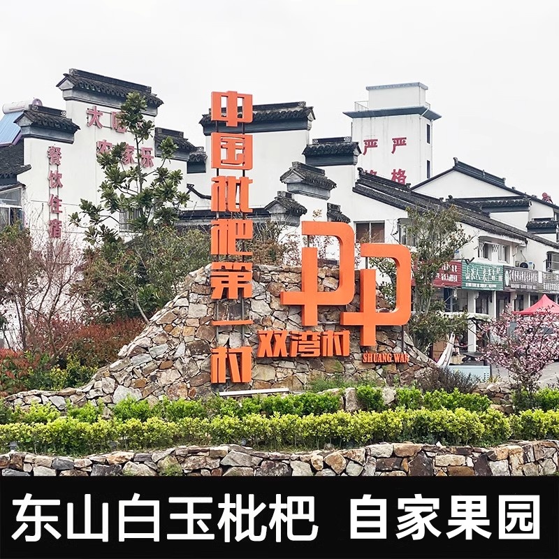 苏州西山青种枇杷VS蒙自东山白玉白沙琵琶：谁才是孕妇水果的新鲜王者？