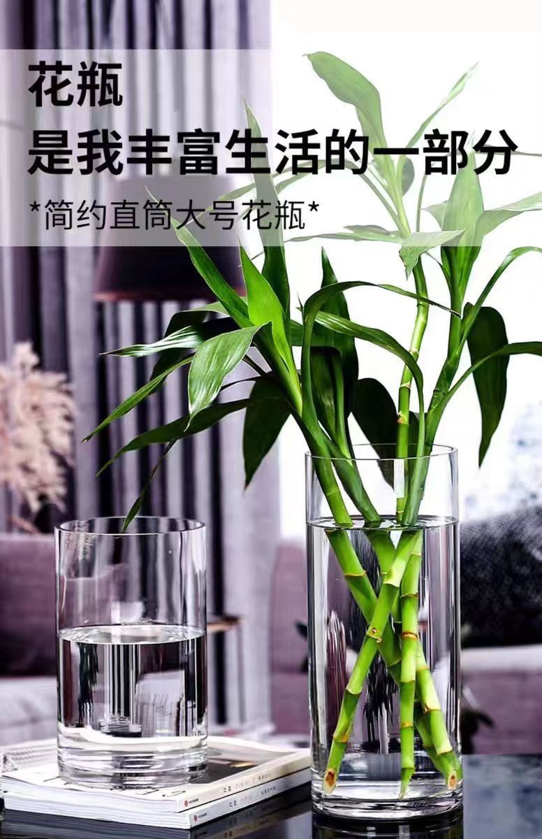 大直筒透明花瓶：让富贵竹成为家中焦点的神器✨