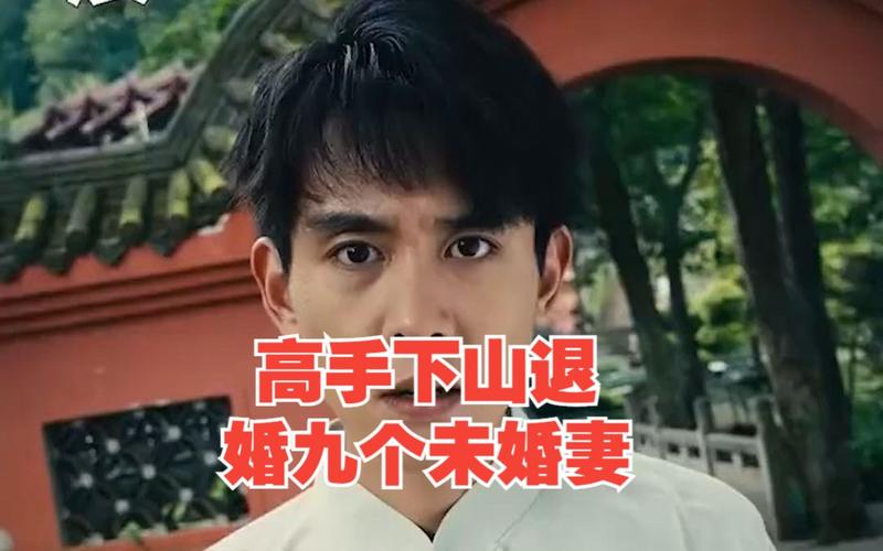 高手下山，退婚九个未婚妻