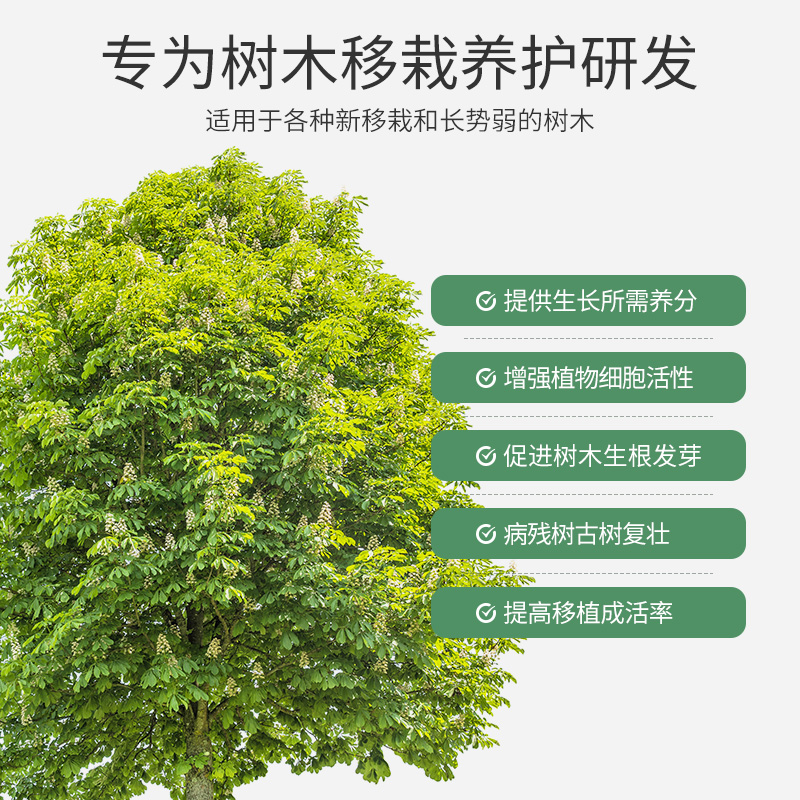 史丹利大树移栽救树神器：激活营养液，银杏树也能吊瓶生根！