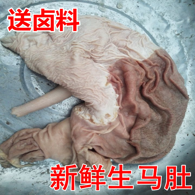 正宗马肚子马下水，散养新鲜马肉，吃货们的福音来啦！