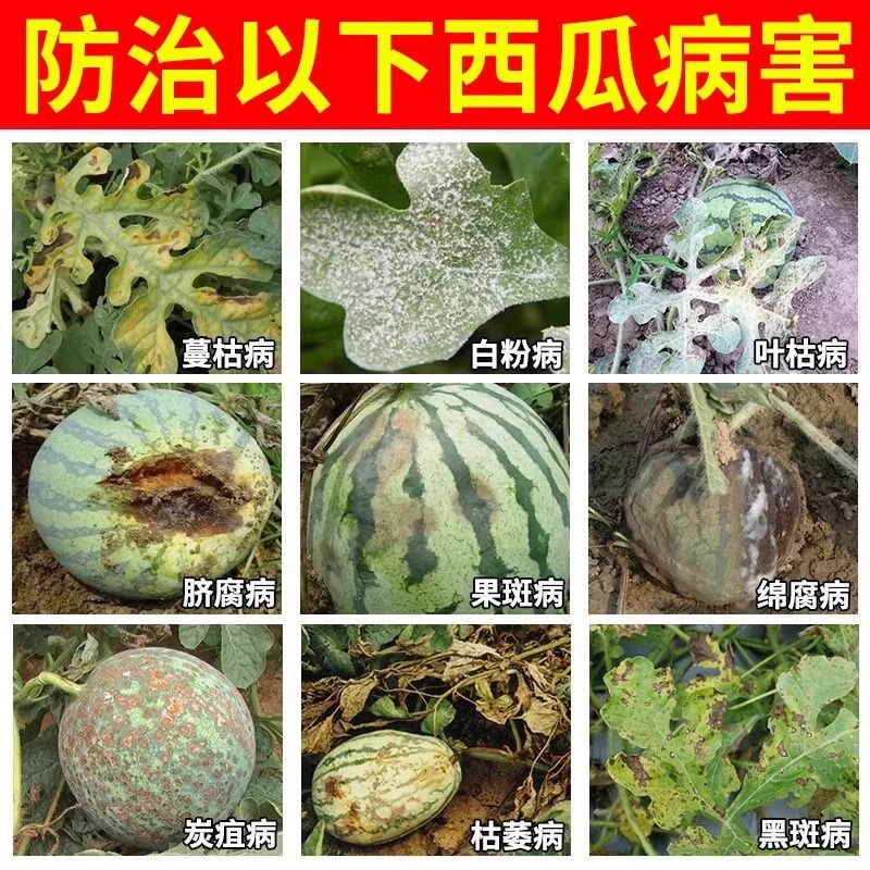 德国巴斯夫望秋微量元素水溶肥料：植物营养的秘密武器，增色丰收的神奇配方！
