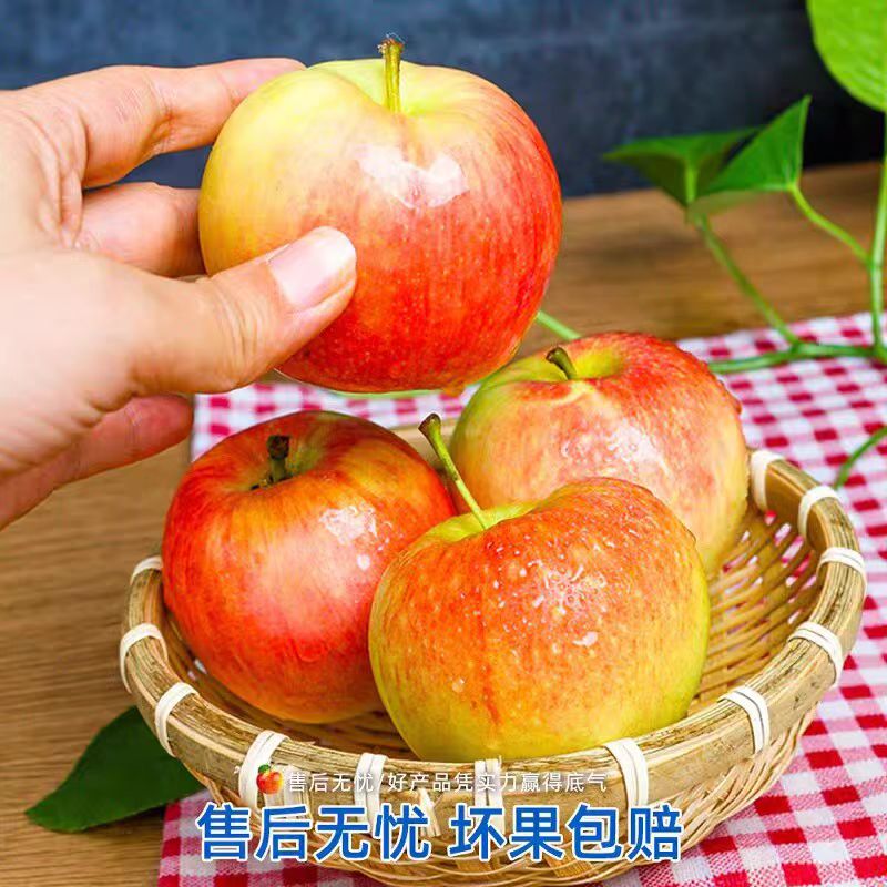 陕西嘎啦苹果：脆甜可口，一口咬下满满的幸福✨