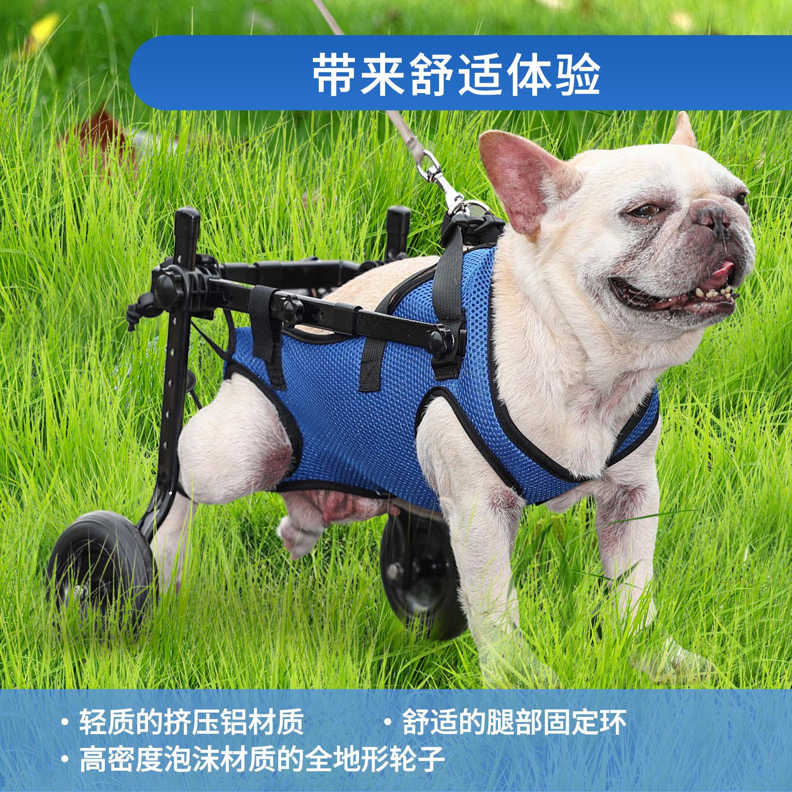 狗拉车后肢轮椅：给宠物一个行走的机会，瘫痪宠物也能享受生活！