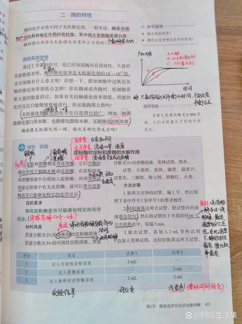 国家法规数据库,法治建设的基石与信息时代的产物