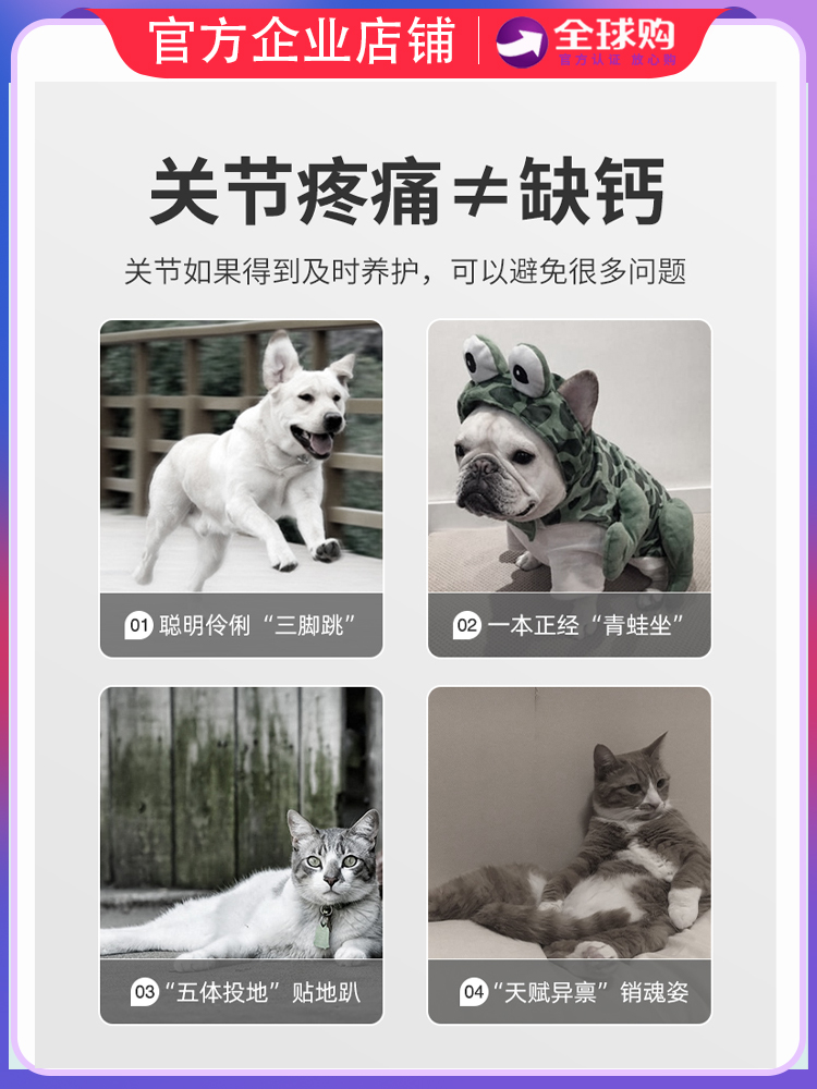 奥维他奥吉软骨素：宠物猫狗髌骨脱位髋胯泰迪金毛腿瘸救星！