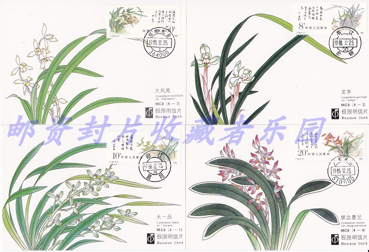 MC8兰花极限片/T129兰花极限片：珍稀邮票收藏指南，上品保真，你值得拥有！