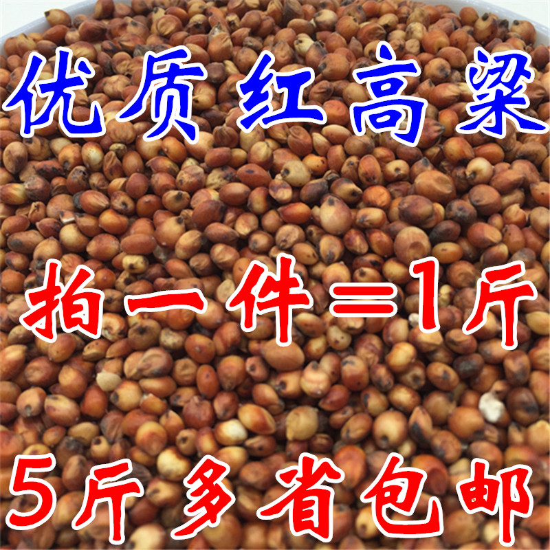 红高粱米：宠物喂养新宠，营养美味全都有！
