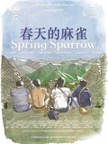 春天的麻雀