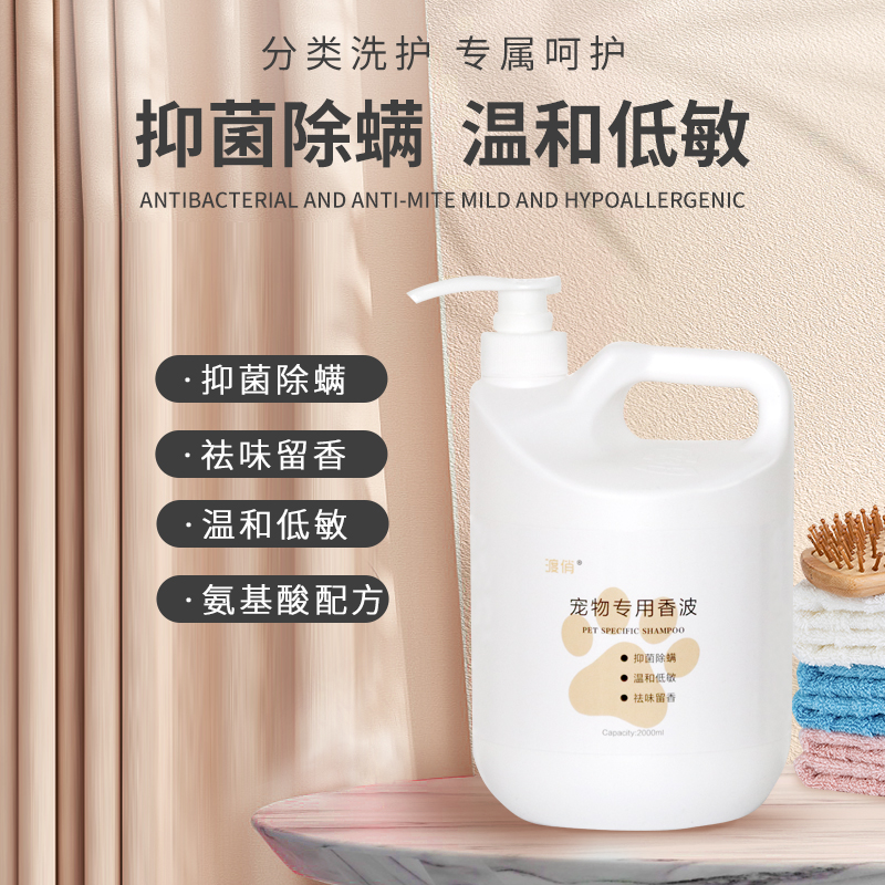 揭秘：拉布拉多真的适合每一个人吗？