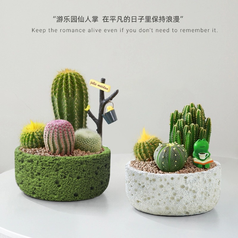 冻干银耳羹真的绝！免煮即食，懒人养生必备！这碗喝完我直接封神