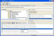 Rename Us Pro4.0.3