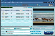 Aogsoft MKV Converter3.3