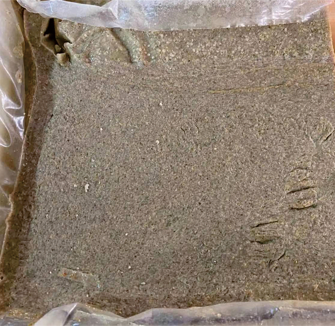 农业昆虫人工饲料！现做现发，养虫神器太香了！新手也能轻松上手