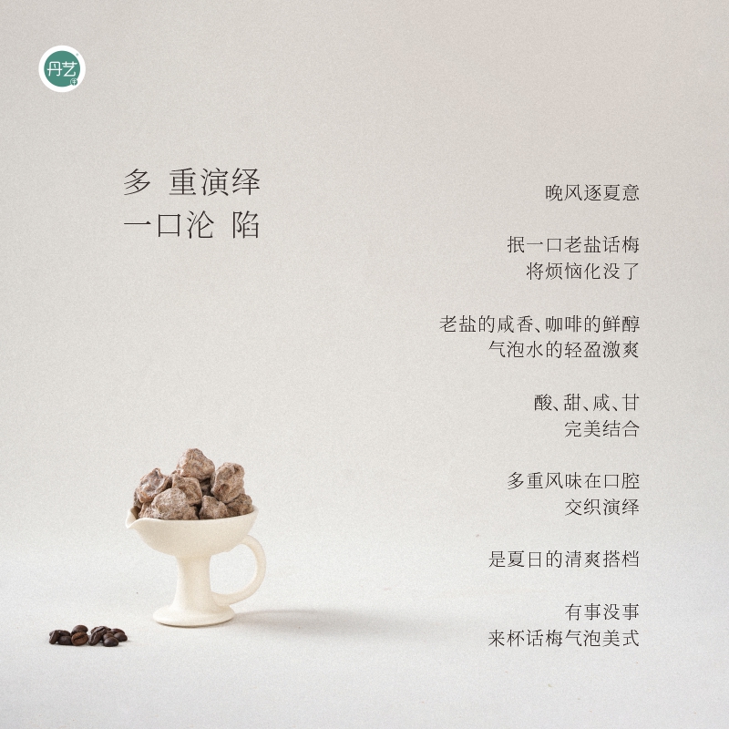 丹艺老盐话梅果浆1.3kg！奶茶店必备！潮汕风味气泡美式太绝了！