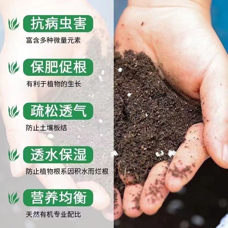 想成为营养界的明星？揭秘公营养师报考秘籍，你准备好了吗?