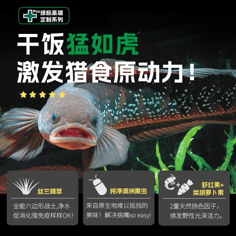 3千块能买到巴卡雷龙？别做梦了，真相在这里！