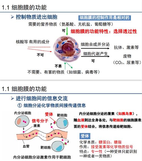 Membrane,细胞膜的结构