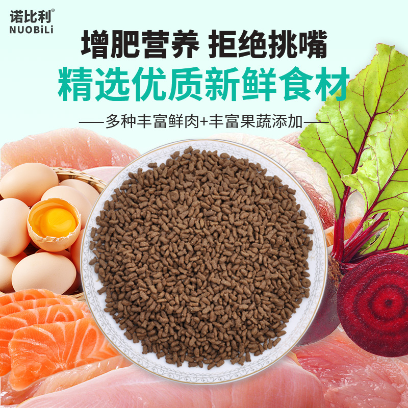 【10只装】正宗脱温鹊山鸡：如何挑选和饲养你的宠物鸡？