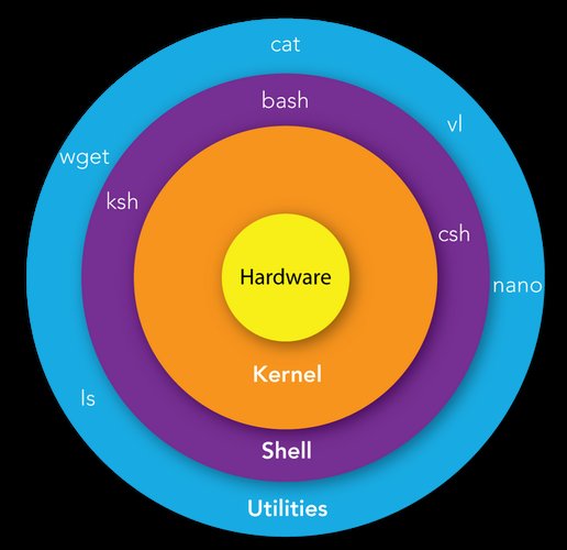 linux中bash是什么,什么是Linux中的Bash？