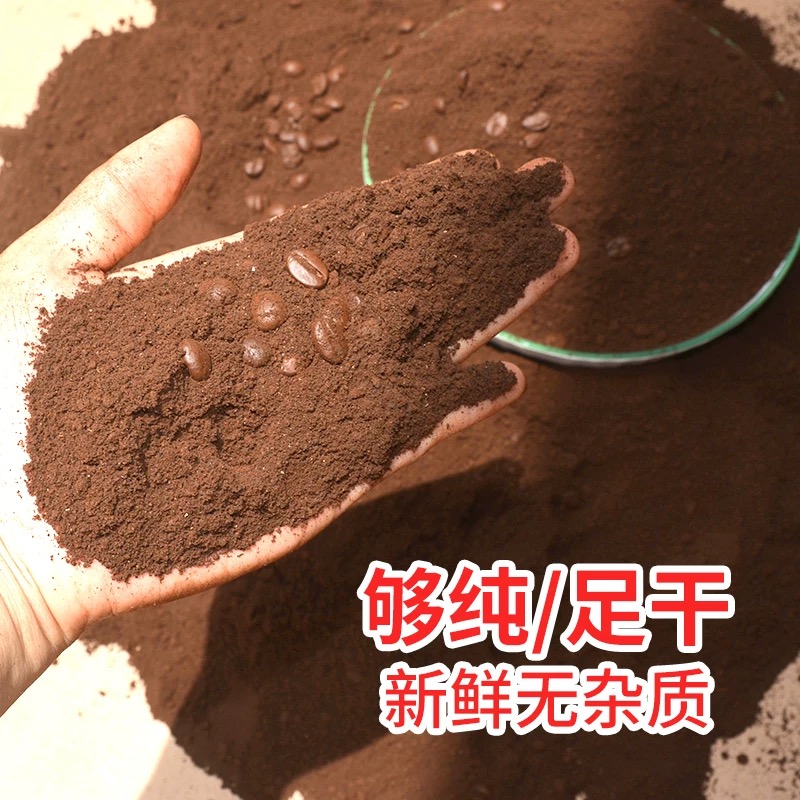 咖啡渣净化空气除味剂：新房除异味去甲醛的秘密武器！