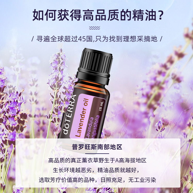 多特瑞基本套装精油：薰衣草、柠檬、薄荷，开启你的自然芳香之旅！