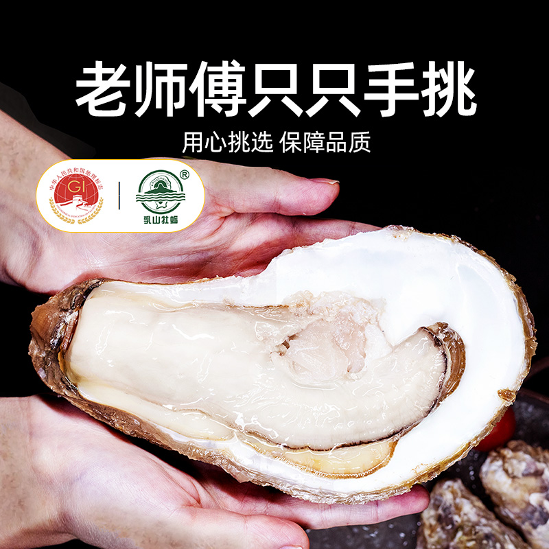 正宗山东乳山生蚝：鲜美直达舌尖的极致享受！✨