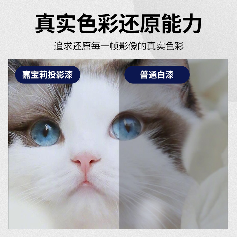 嘉宝莉净味投影漆：高清画质，打造家庭影院新体验！