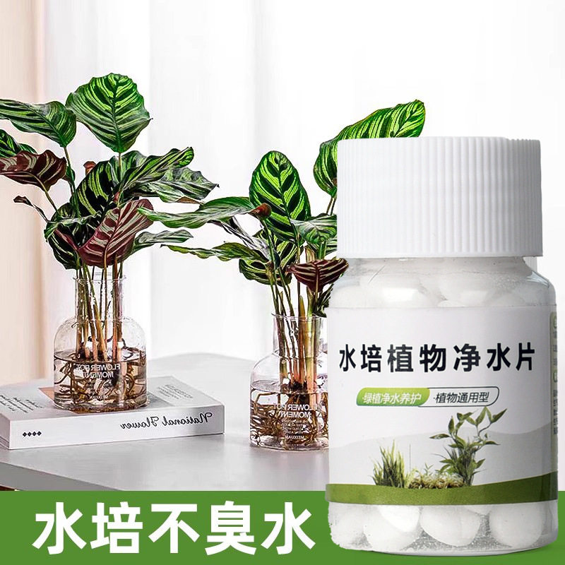 水培植物净水片如何有效净化水质？