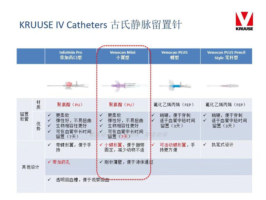 宠物留置针神器！丹麦古氏小翼型真的太香了！养宠必看！