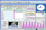 MSD Organizer Portable Freeware12.8