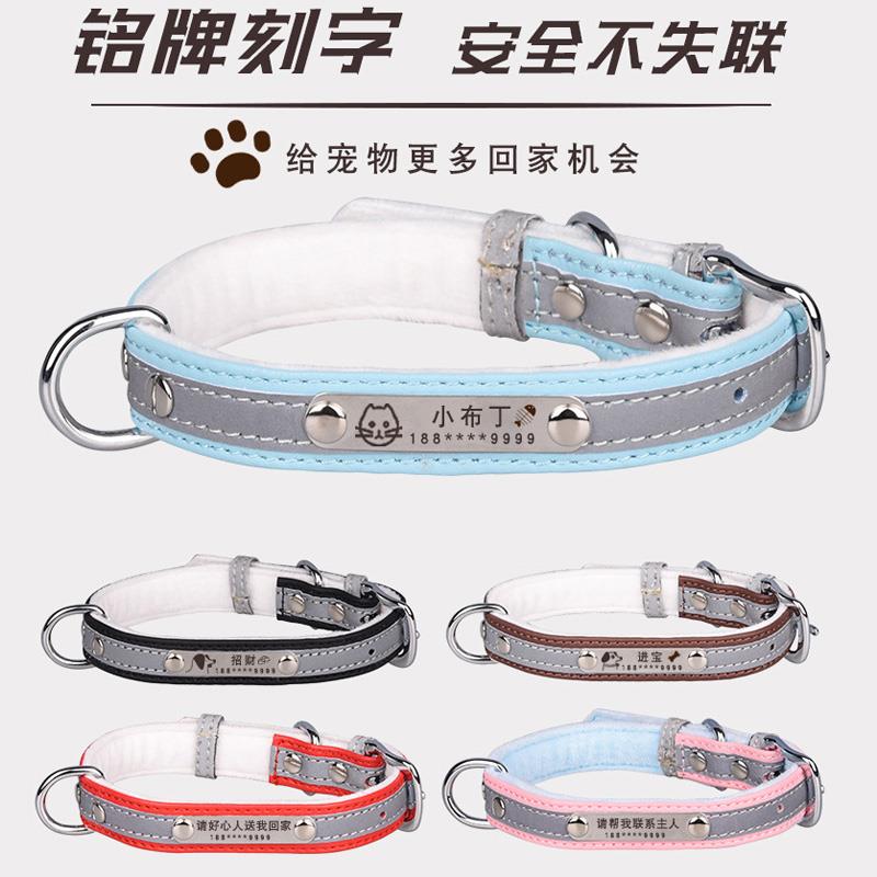 猫咪狗狗定位防走丢神器，夜光发光牵引绳，刻名字定制，守护宠物安全！✨