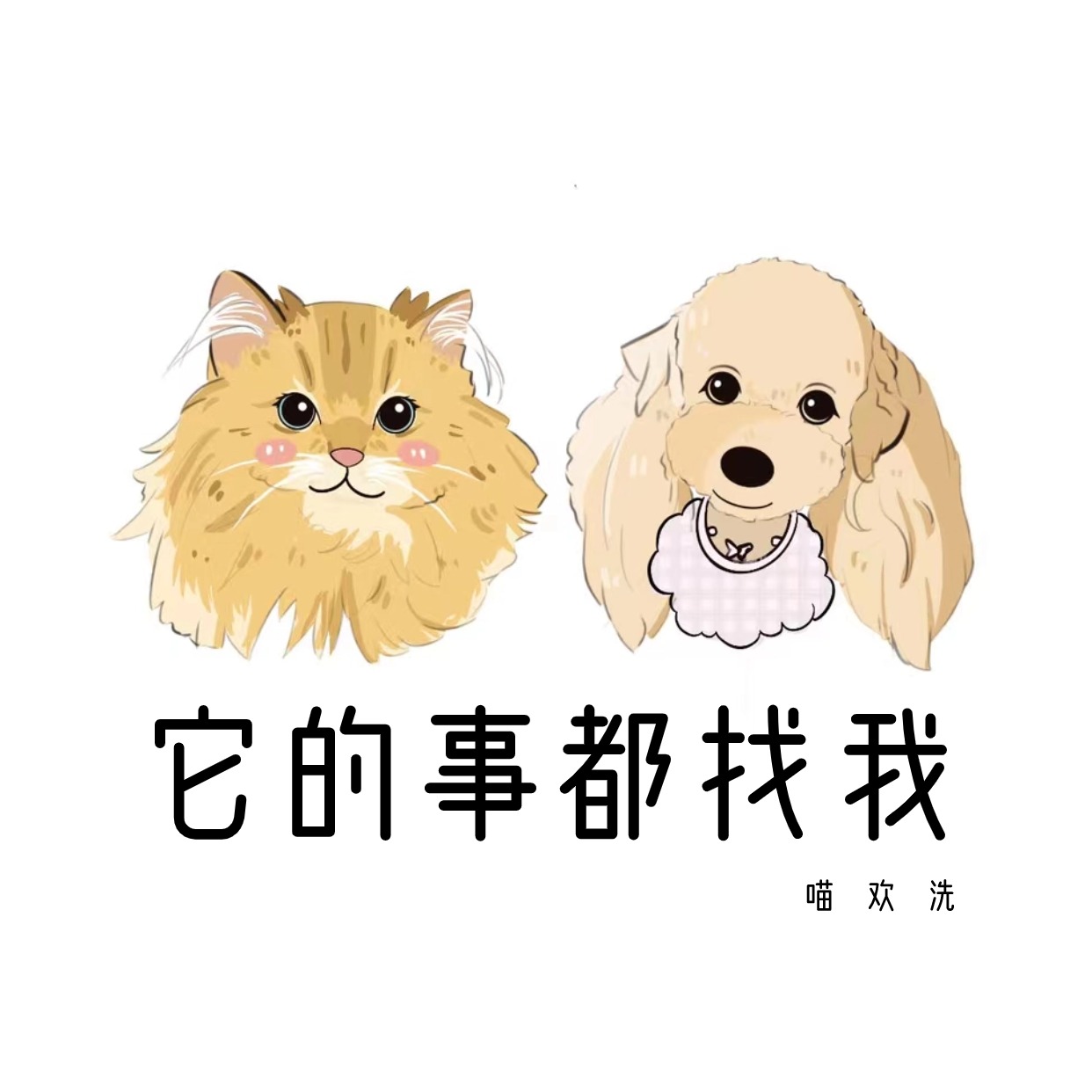 喵欢洗：成都猫咪上门洗澡，宠物洗护新体验