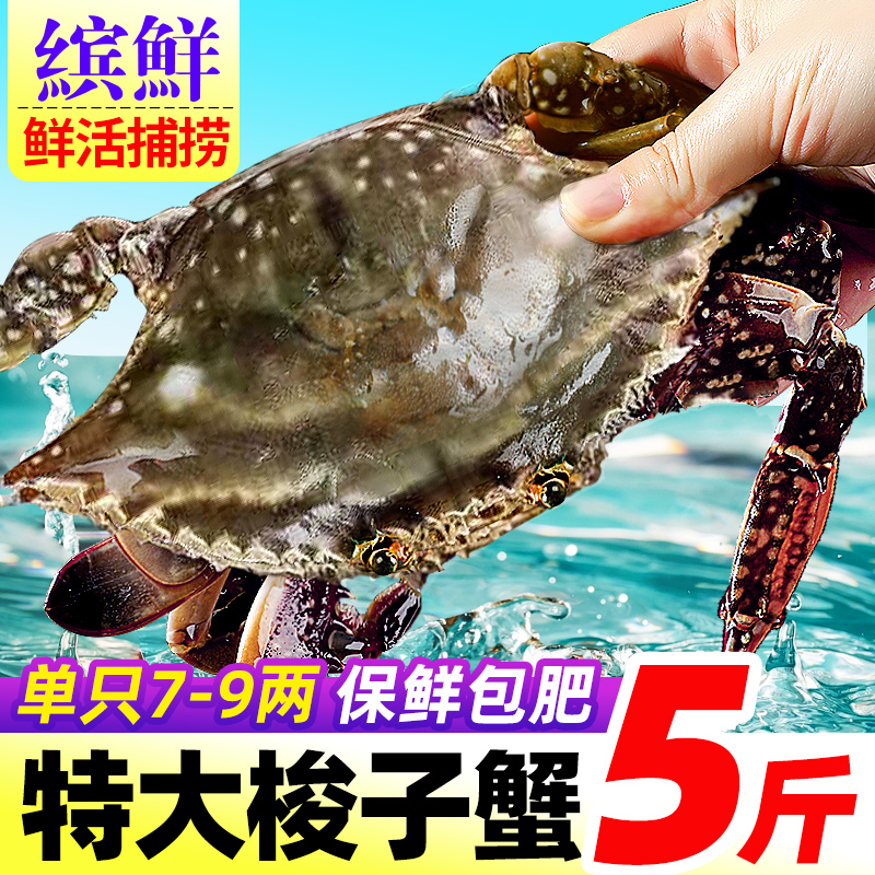 梭子蟹盛宴来袭！顺丰速递，新鲜直达你的餐桌！