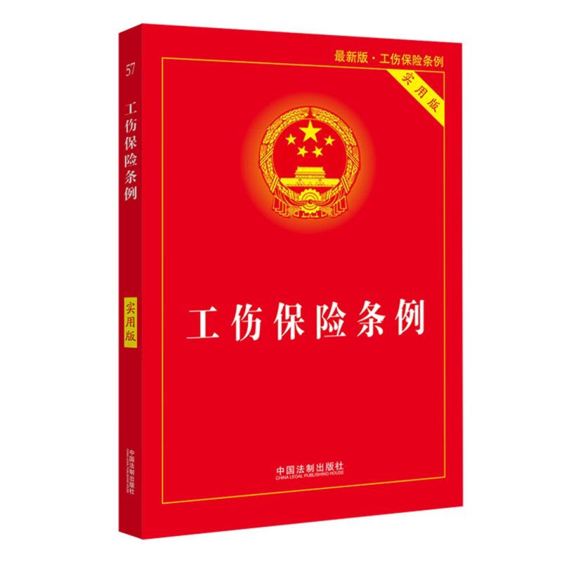 中法图正版2021新版权法案例解析：美国版权教材，版权法学通论，诉讼必备！