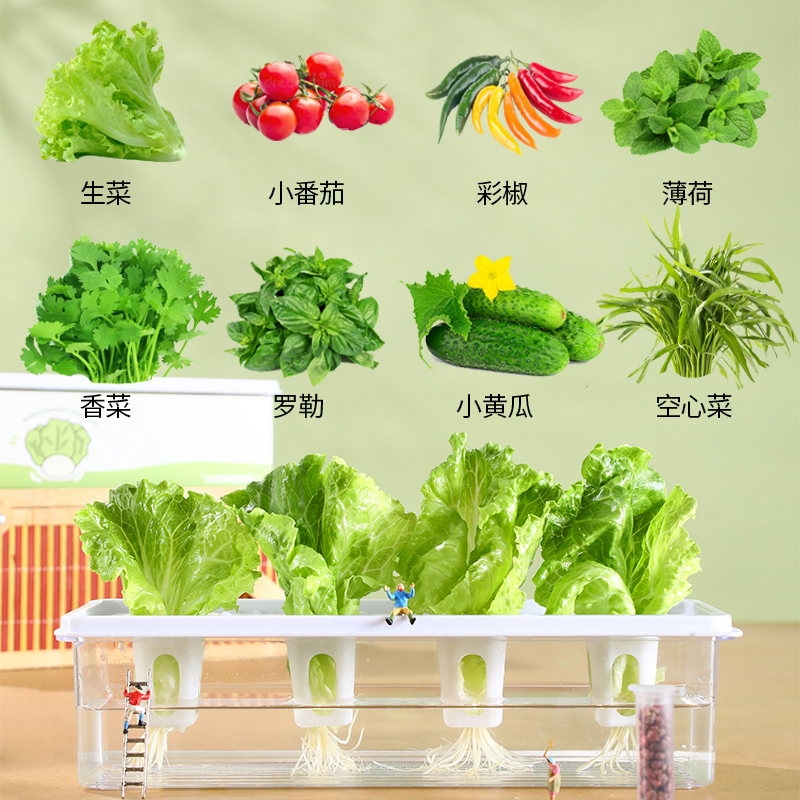 种植箱蔬菜种菜箱农场种植槽无土栽培果蔬栽培架水培设备潮汐盘：家庭农场的终极解决方案！