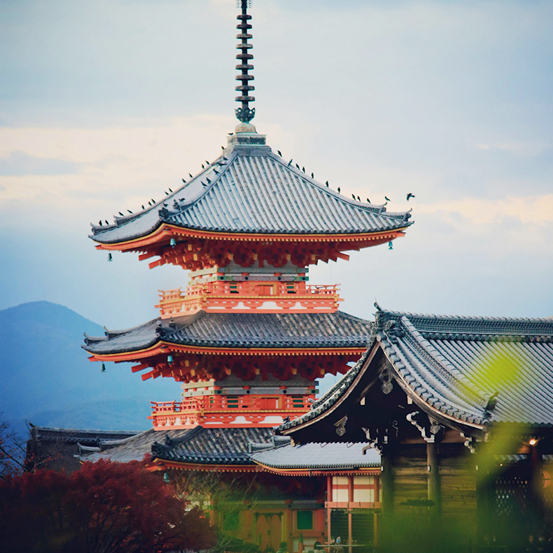 暑期国庆|日本本州双古都6-7日半自助跟团东京大阪旅游含机票签证，开启你的梦想之旅✈️