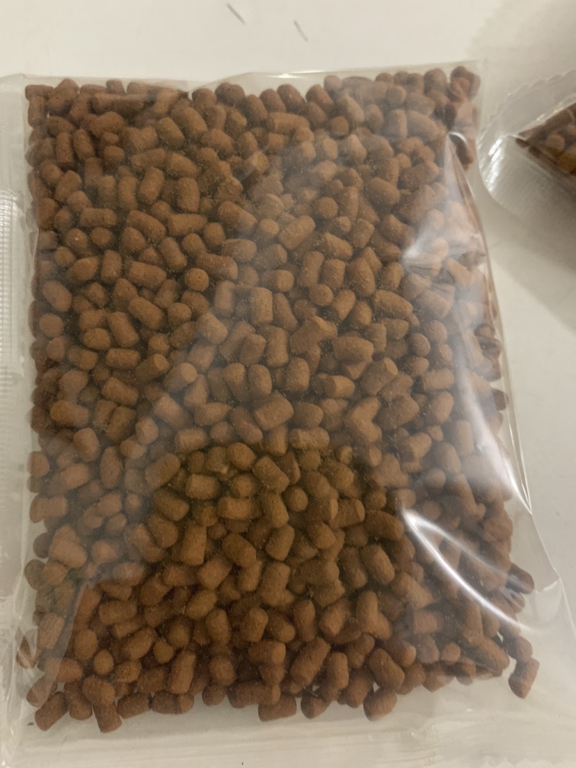 揭秘巴卡雷龙鱼的神秘世界，价格大公开，你准备好迎接挑战了吗？