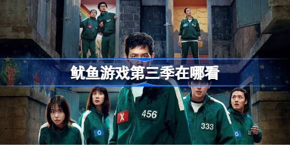 鱿鱼游戏第三季在哪看 鱿鱼游戏最终季资源分享