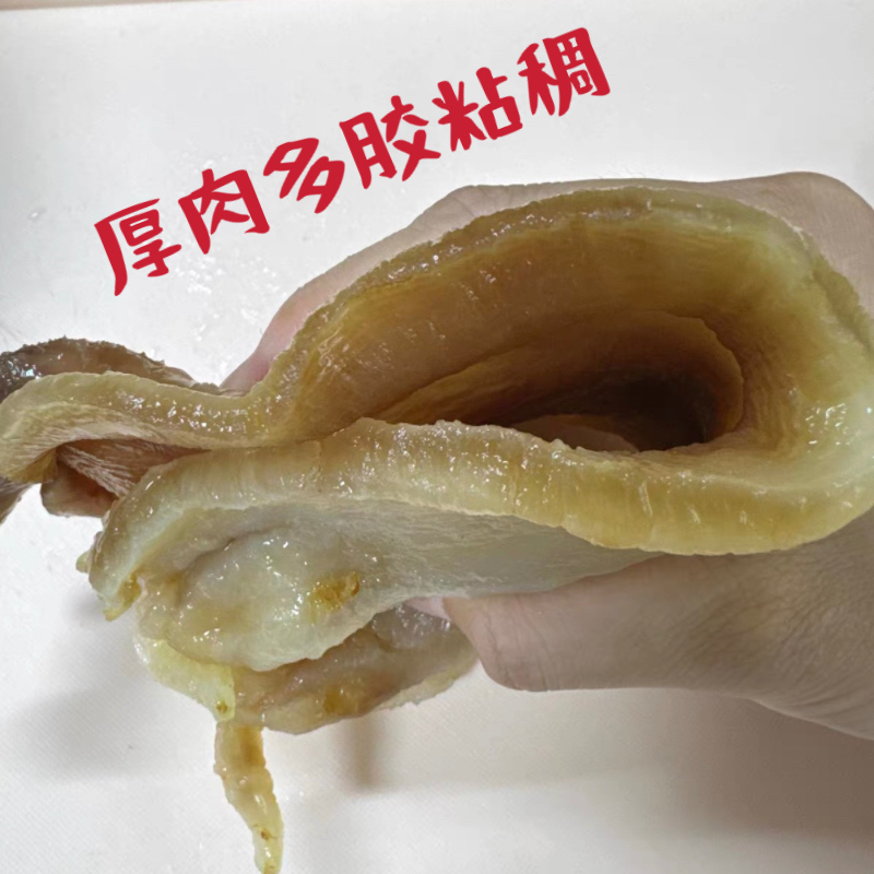 北海特产500克鱼肚鱼胶花胶：宴席上的顶级奢华食材，你吃对了吗？