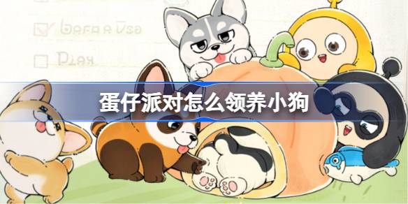 蛋仔派对怎么领养小狗 蛋仔派对小狗领养攻略