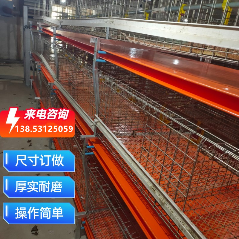 鹌鹑养殖神器：鹌鹑粪带、鹌鹑笼、自动挂粪机、自动上料机，定做加工，让养殖更轻松！