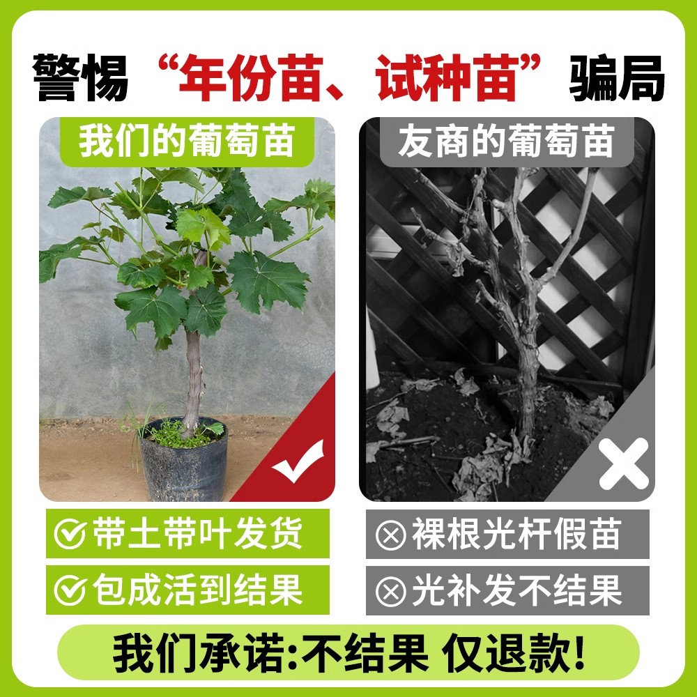葡萄糖高于多少算糖尿病？血糖指标全解析