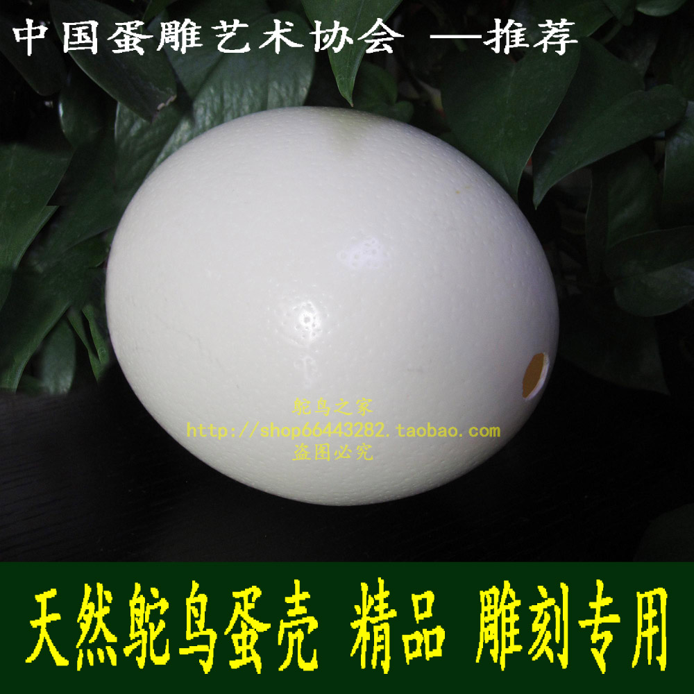 鸵鸟蛋壳雕刻艺术：超大蛋壳DIY，创意礼物新潮流！