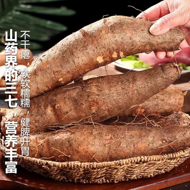 正宗新鲜软糯云南灵芝山药大根非淮山小白嘴铁棍山药紫秤砣麻山药，吃出健康好身体！