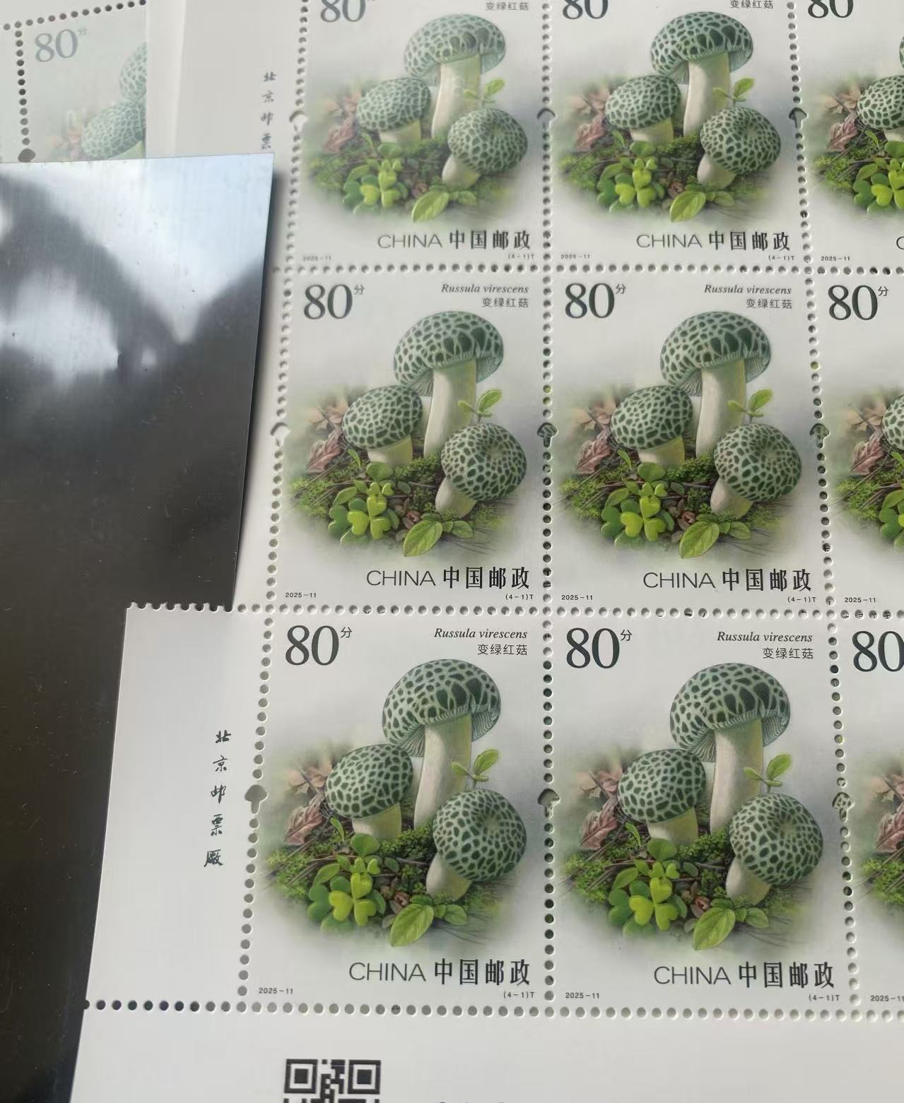 2025-11食用菌特种邮票：集邮爱好者的梦幻收藏✨