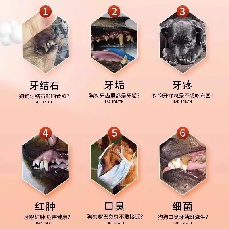 宠物牙结石软化剂：拯救毛孩子的口腔健康，远离牙龈溃烂与牙菌斑！