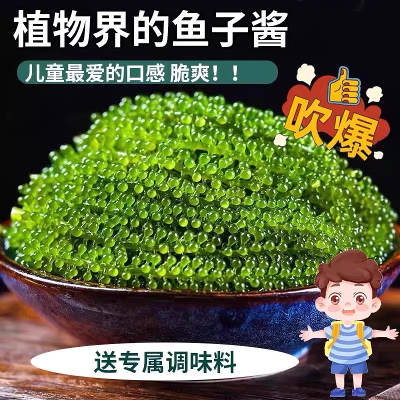 儿童海葡萄即食：宝宝也能享受的海洋美味✨