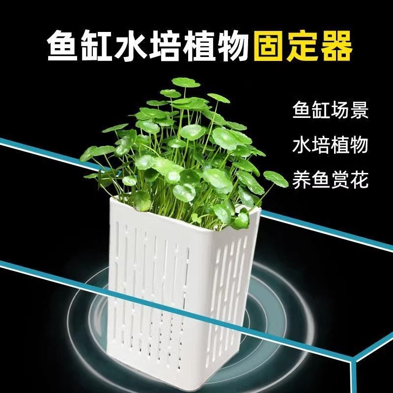 鱼缸专用挂式水培植物篮：给你的水族世界添一抹绿意！